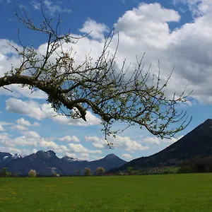 Apfelblüte Apartment Bad Feilnbach
